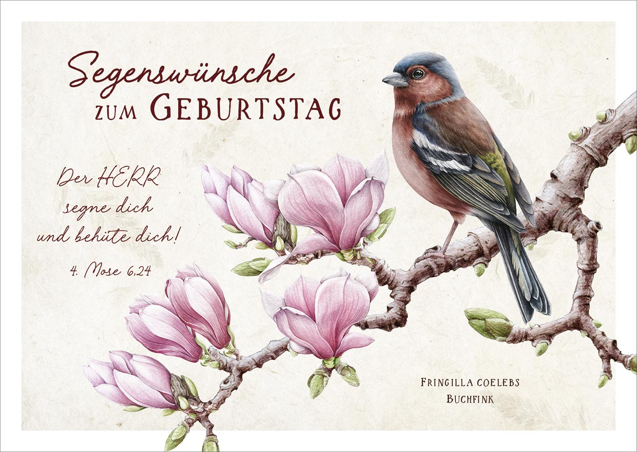 Postkarte Der Herr segne dich und behüte dich! -  Anlass: Geburtstag (14,8 x 10,5 cm)