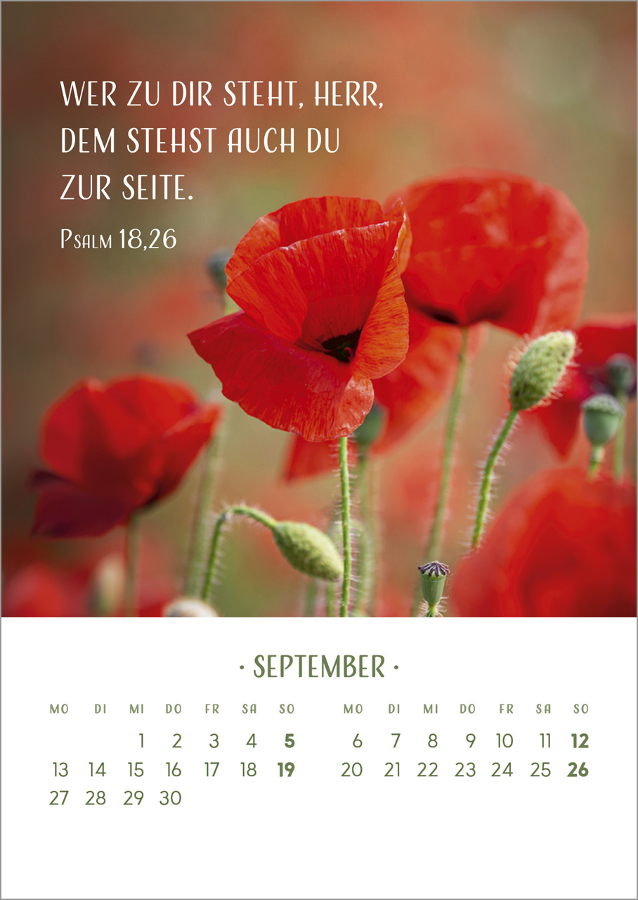 Zarte Blumengrüße 2027 – Tischkalender mit Holzaufsteller