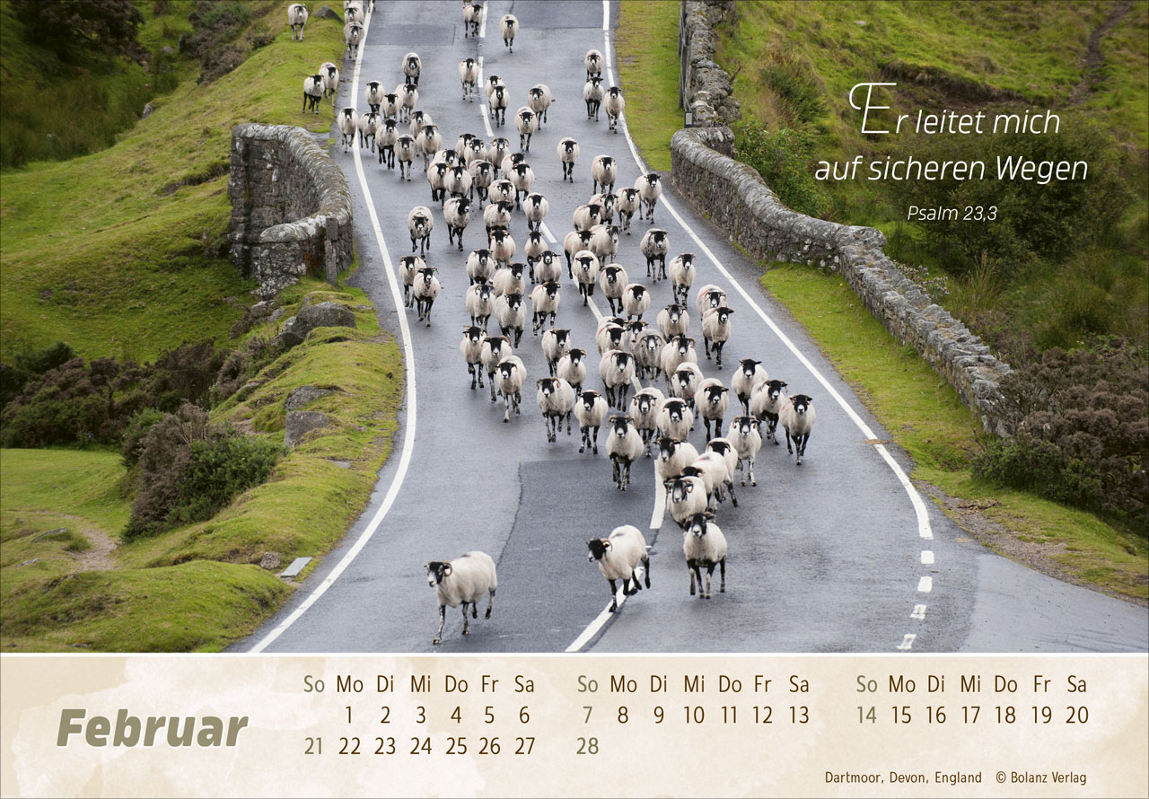 Der Gute Hirte 2027 – Panoramakalender