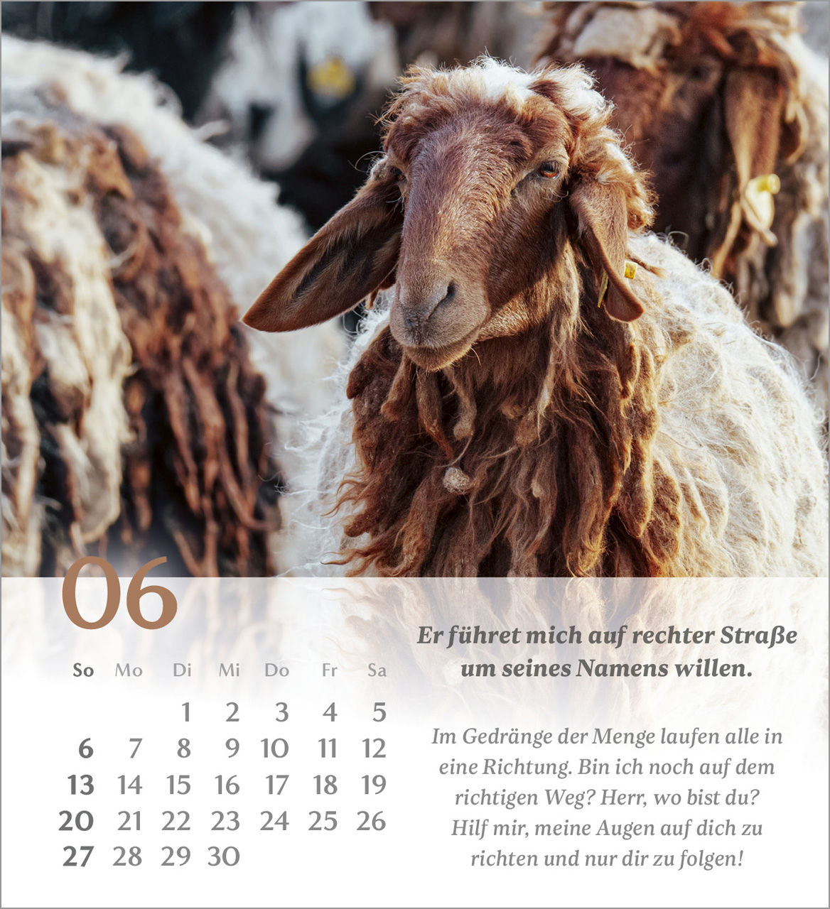 Psalm 23 – 2027 – Tischkalender