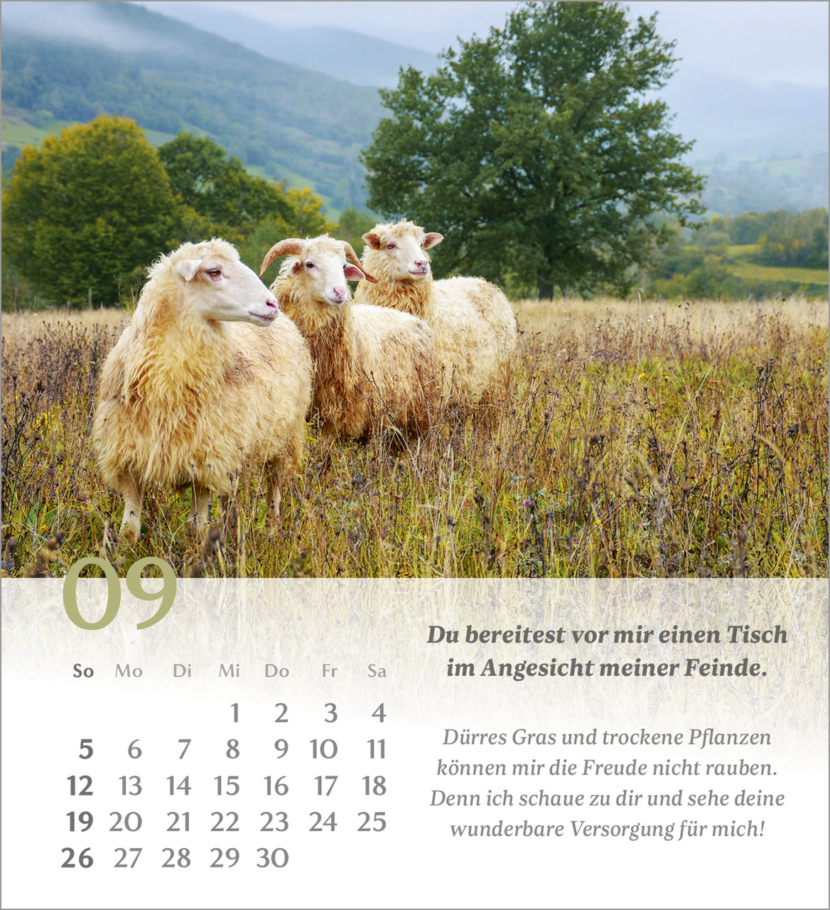 Psalm 23 – 2027 – Tischkalender