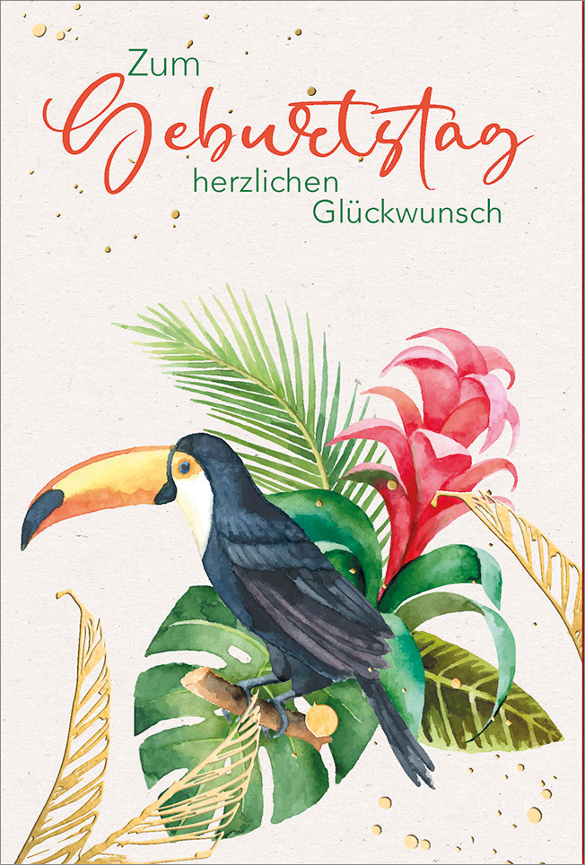 Faltkarte Tucan