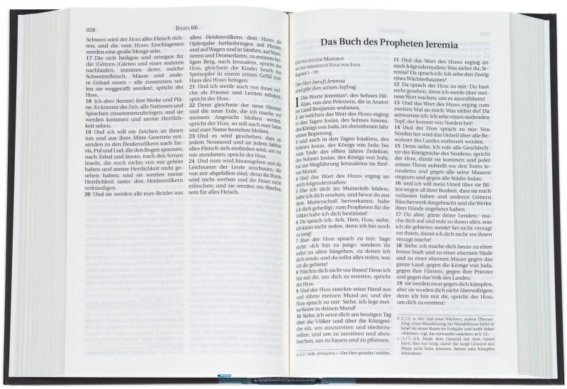 Schlachter 2000 Bibel – Taschenausgabe (Hardcover, klassischer Einband) -  - Hardcover unbekannt (13,4 x 20 x 3,3 cm)