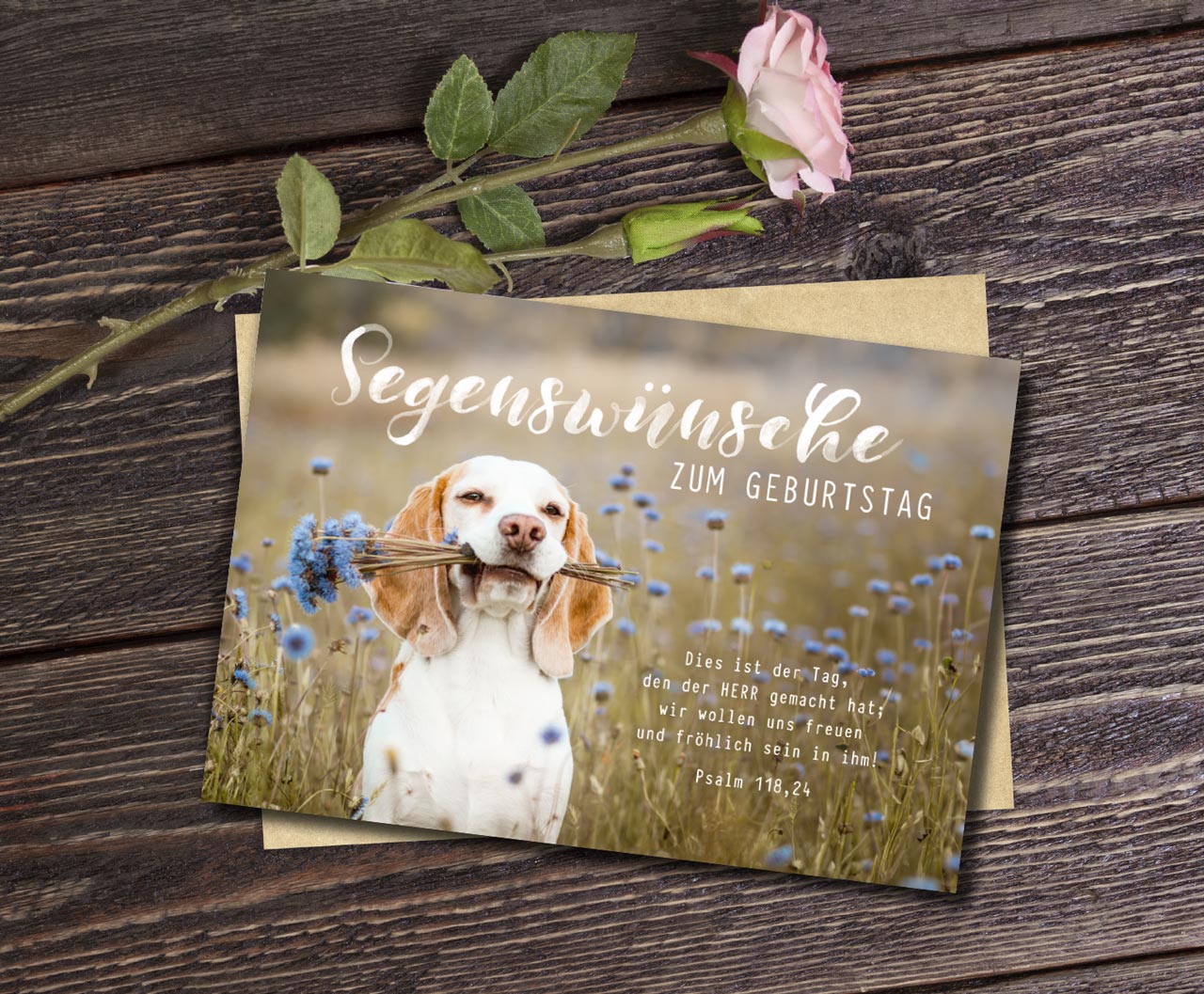 Faltkarte süßer Hund -  Anlass: Geburtstag (17 x 12 cm)