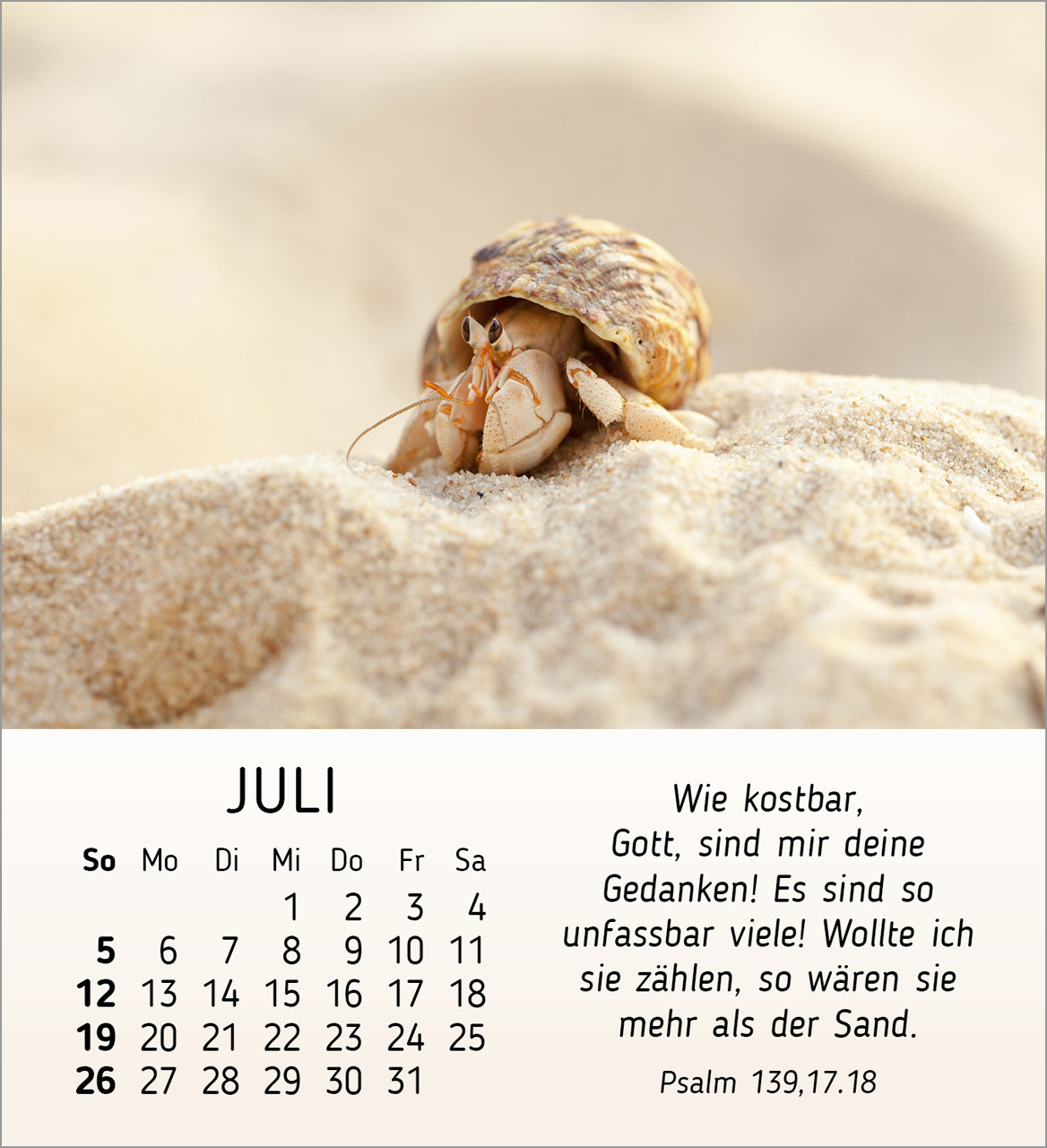 Stille Begegnungen Tischkalender 2026