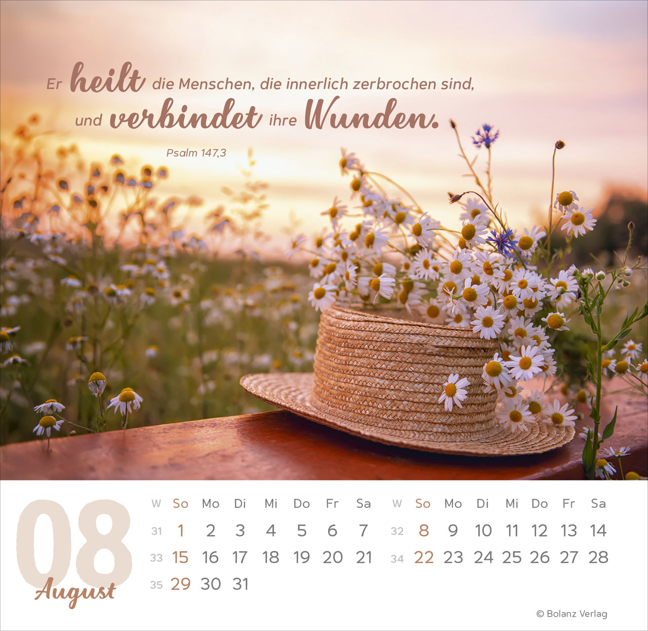 Meine Zeit 2027 – Tischkalender