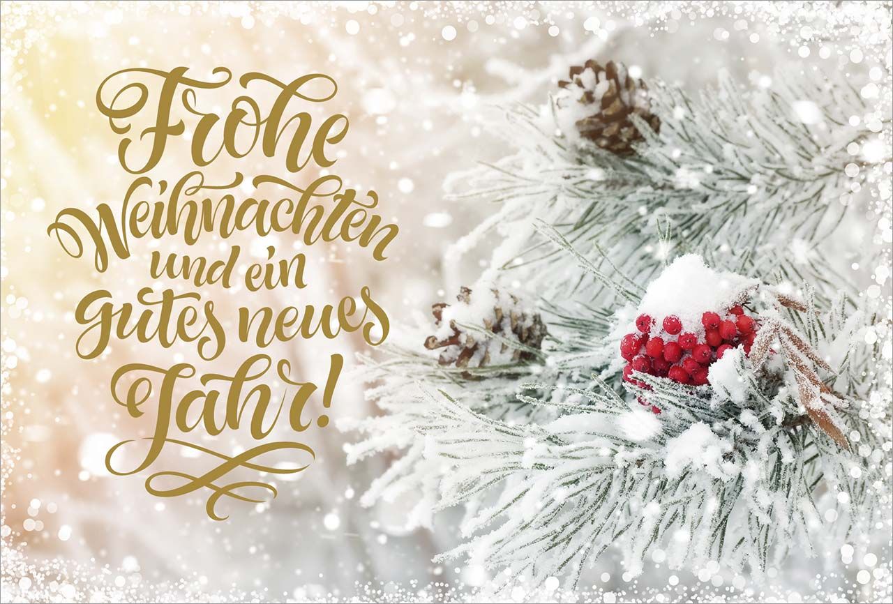 Postkarte Schneebedeckter Zweig mit Beeren -  Anlass: Weihnachten (14,8 x 10,5 cm)