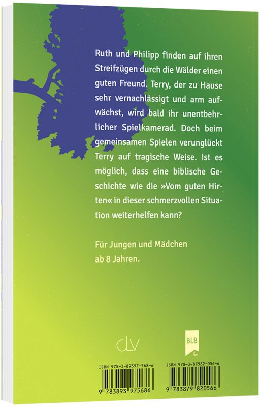 Das Geheimnis von Wildenwald -  Autor: Patricia St. John - Taschenbuch 17. Auflage (12 x 18 x 1,9 cm)