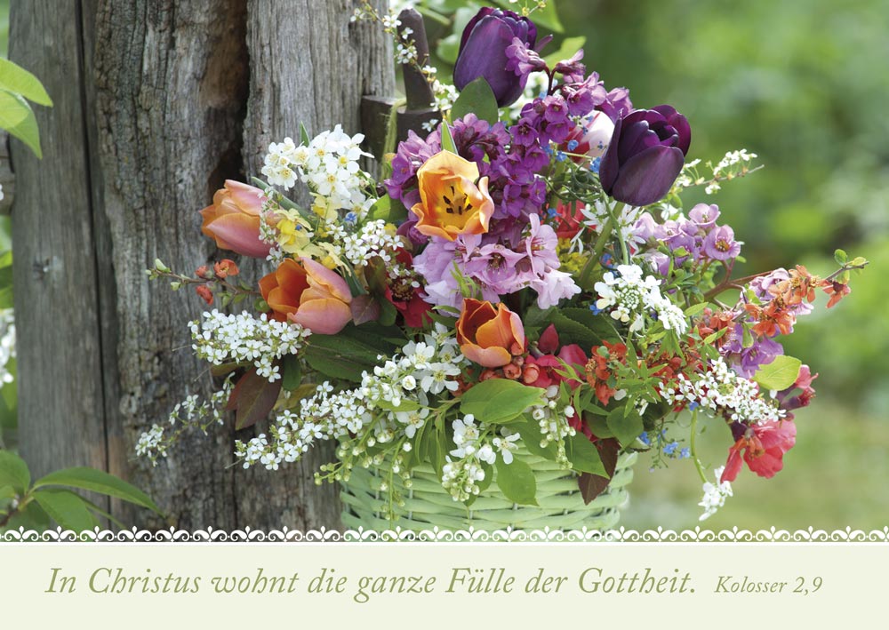 Postkartenbox Wir sind im Garten