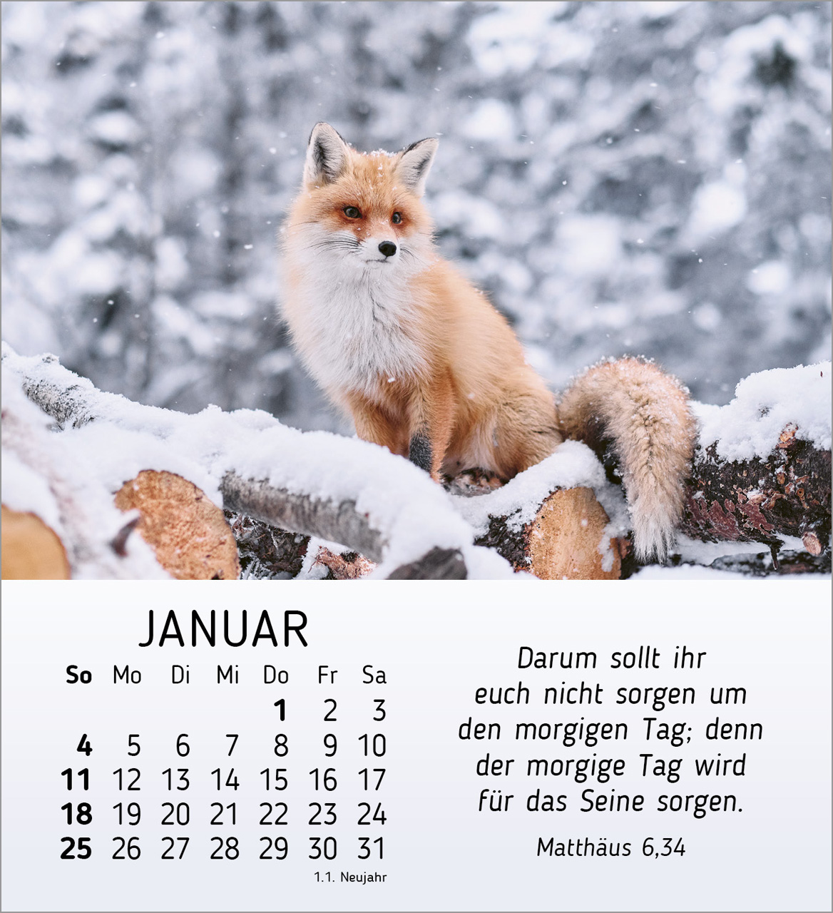 Stille Begegnungen Tischkalender 2026