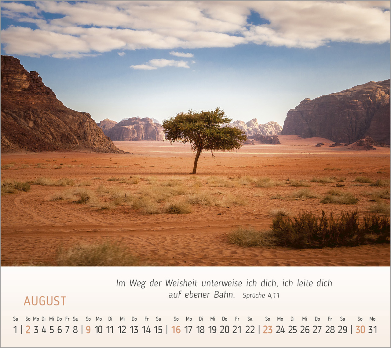 Foto-Träume - Tischkalender 2026
