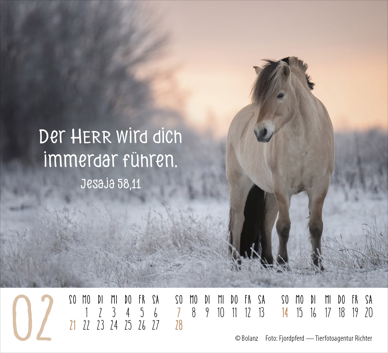 Pferde – elegante Schönheiten 2027 – Minikalender