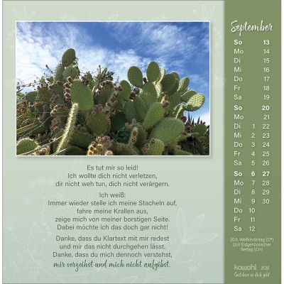 Gut, dass es dich gibt 2026 -  Autor: Doro Zachmann (16 x 16 cm)