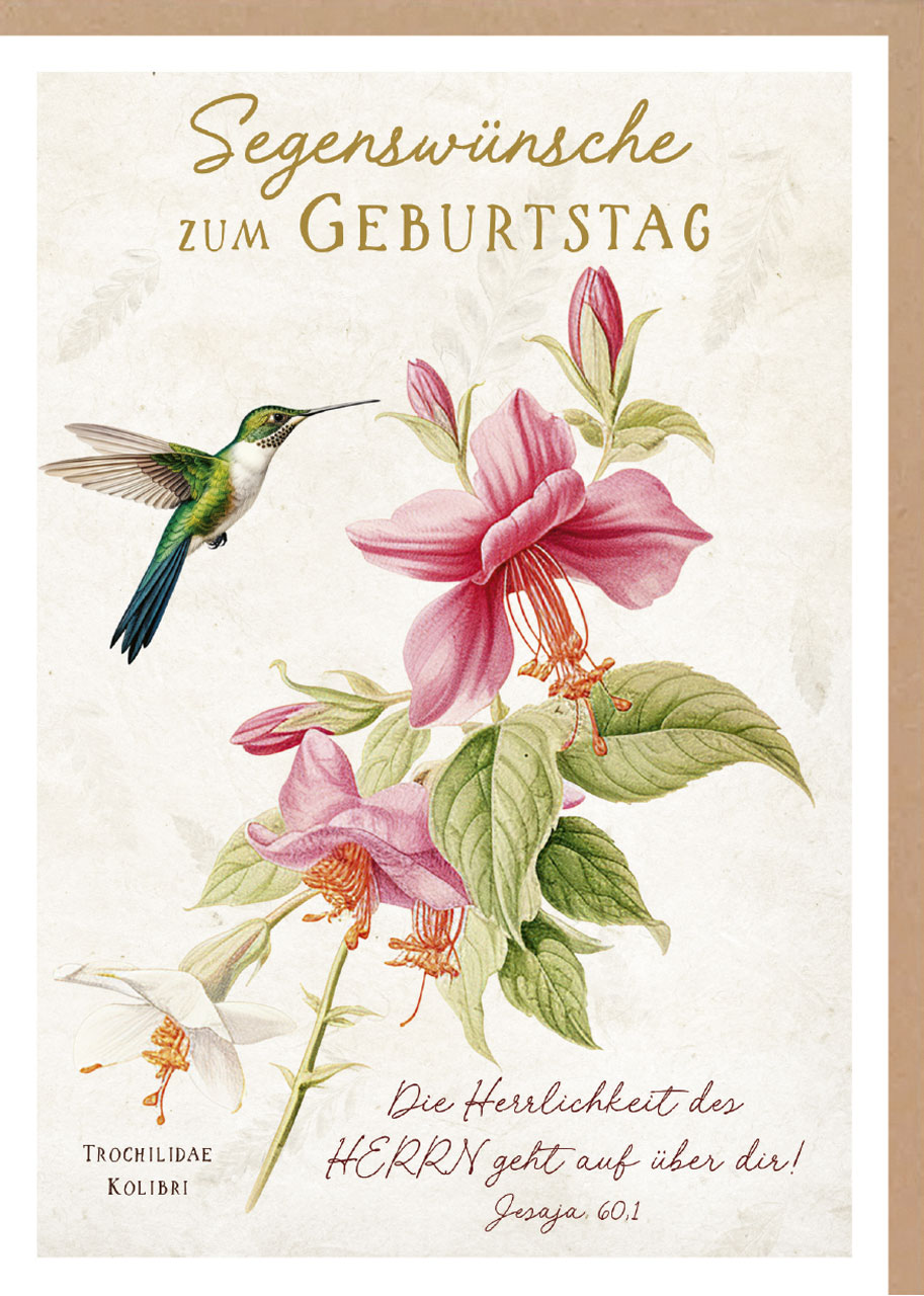 Faltkarte farbenfroher Kolibri -  Anlass: Geburtstag (12 x 17 cm)