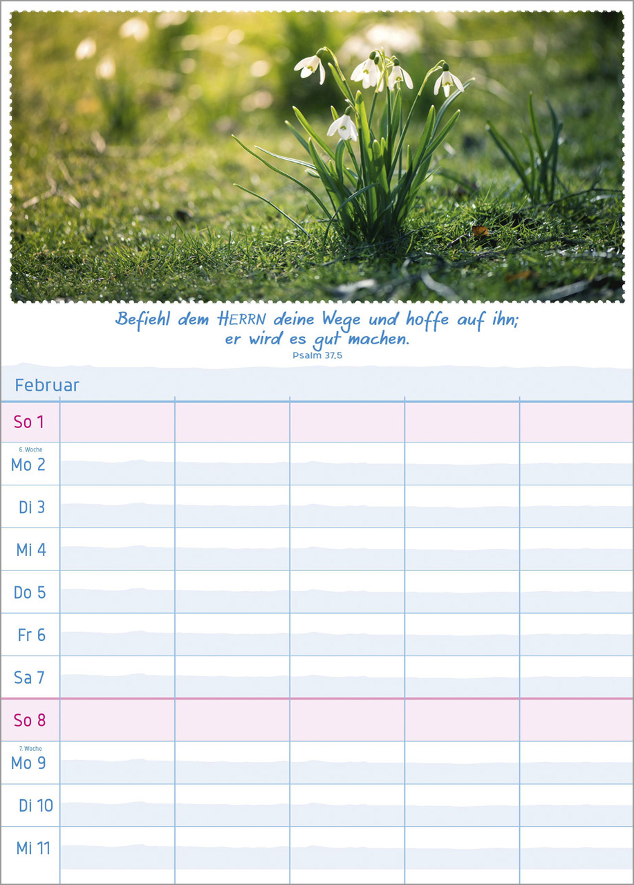 Multiplaner 2026 - Terminplaner