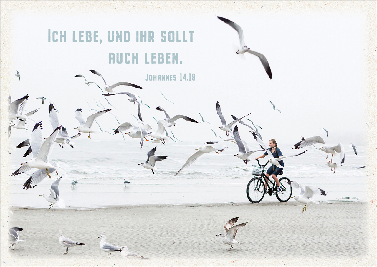 Postkarte Ich lebe - Möven am Strand -  (14,8 x 10,5 cm)