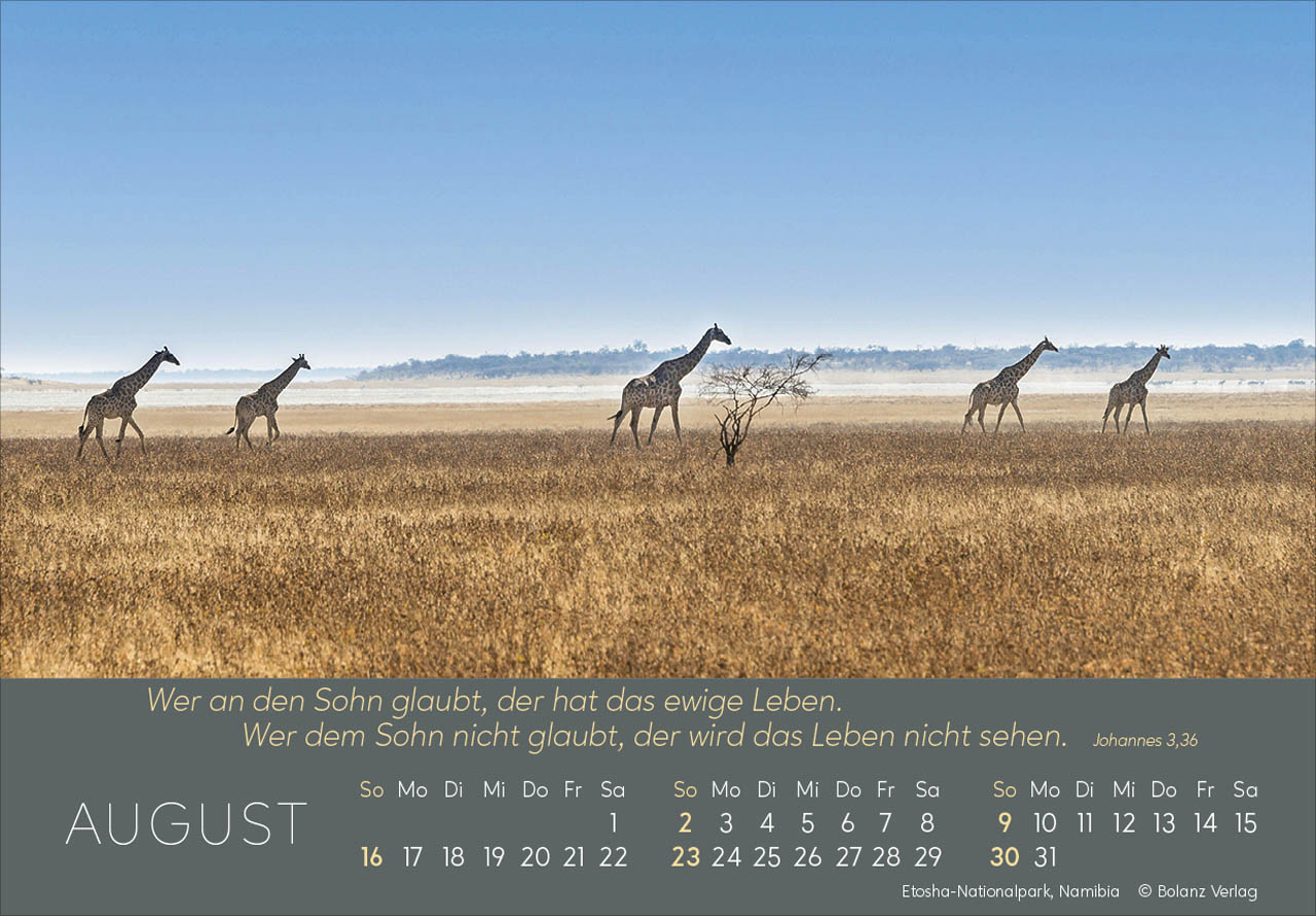 Ewigkeit im Herzen 2026 - Panoramakalender