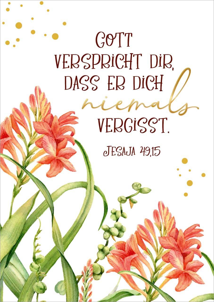 Postkarte Niemals vergisst -  (10,5 x 14,8 cm)