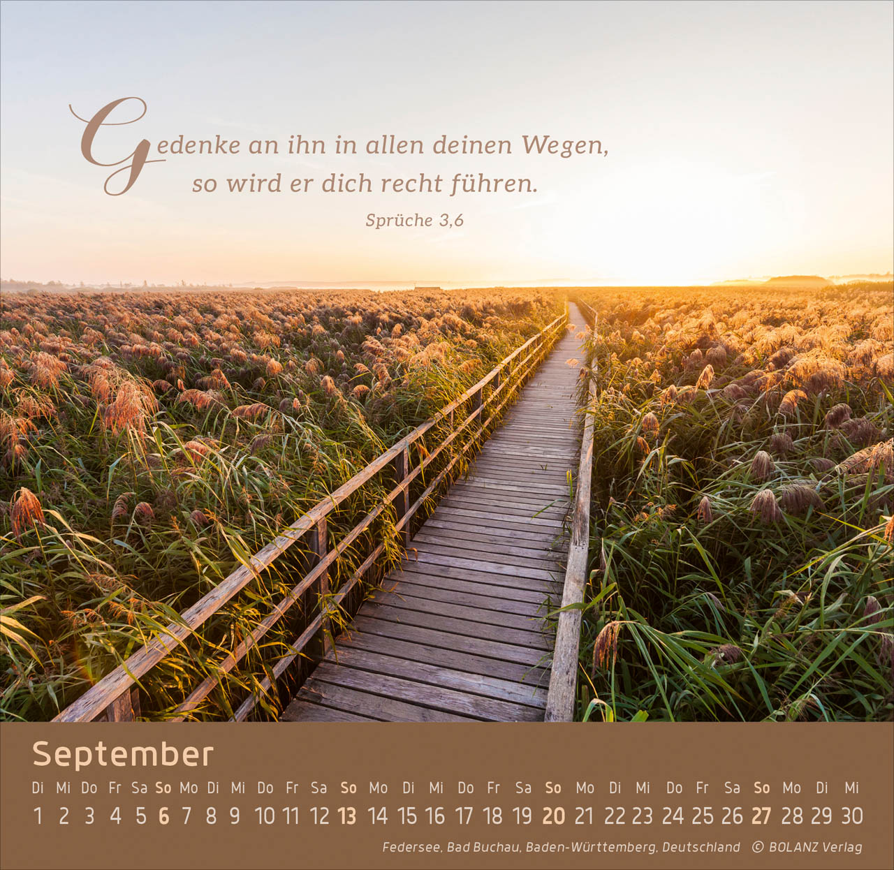 Weg-Licht-Leben 2026 - Tischkalender