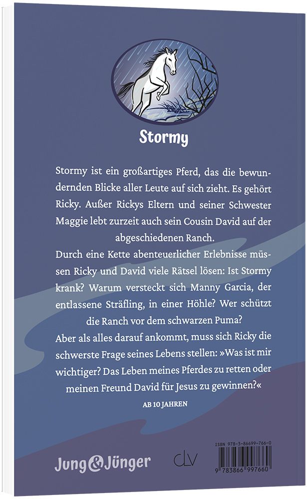 Stormy (7) -  Autor: Betty Swinford - Paperback 1. Auflage (13,5 x 20,5 x 1,4 cm)