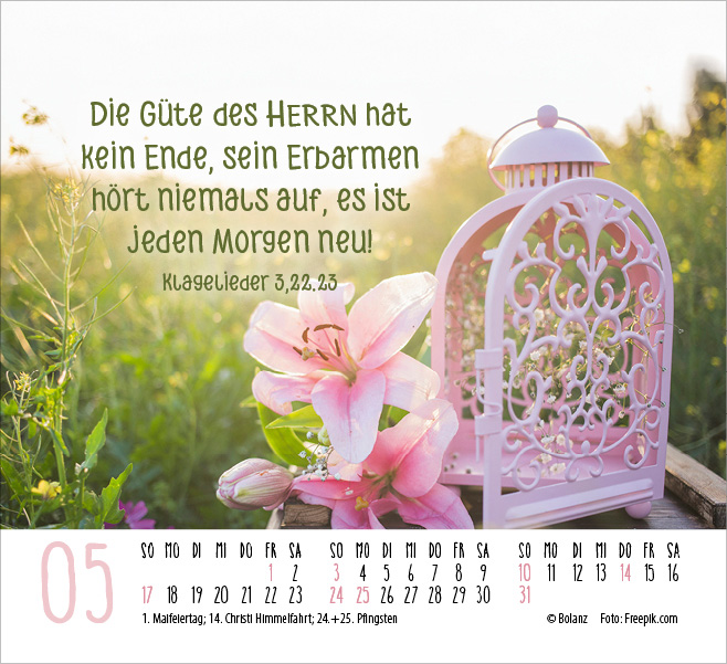 Danke 2026 - Minikalender