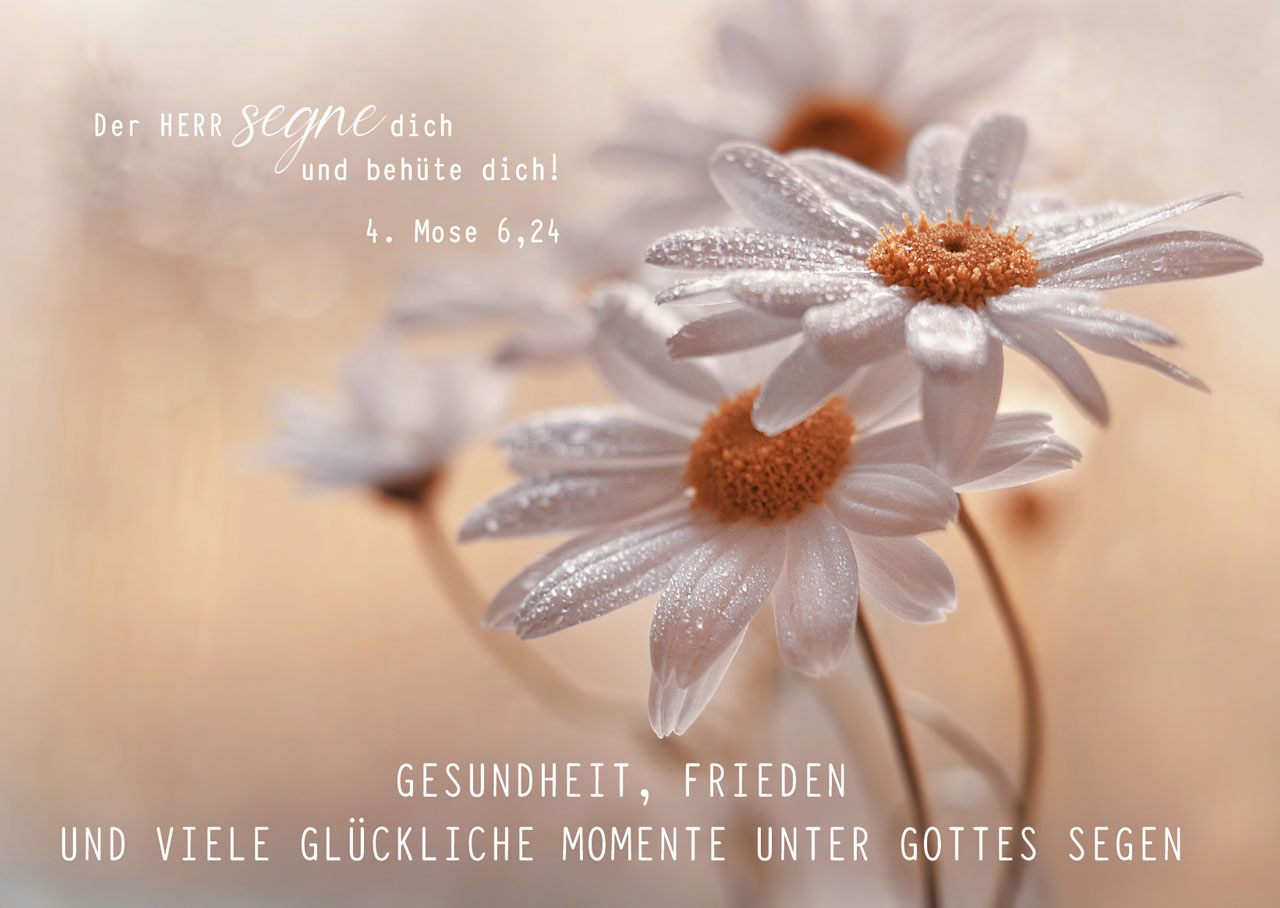 Postkarte Geburtstag -  Anlass: Geburtstag