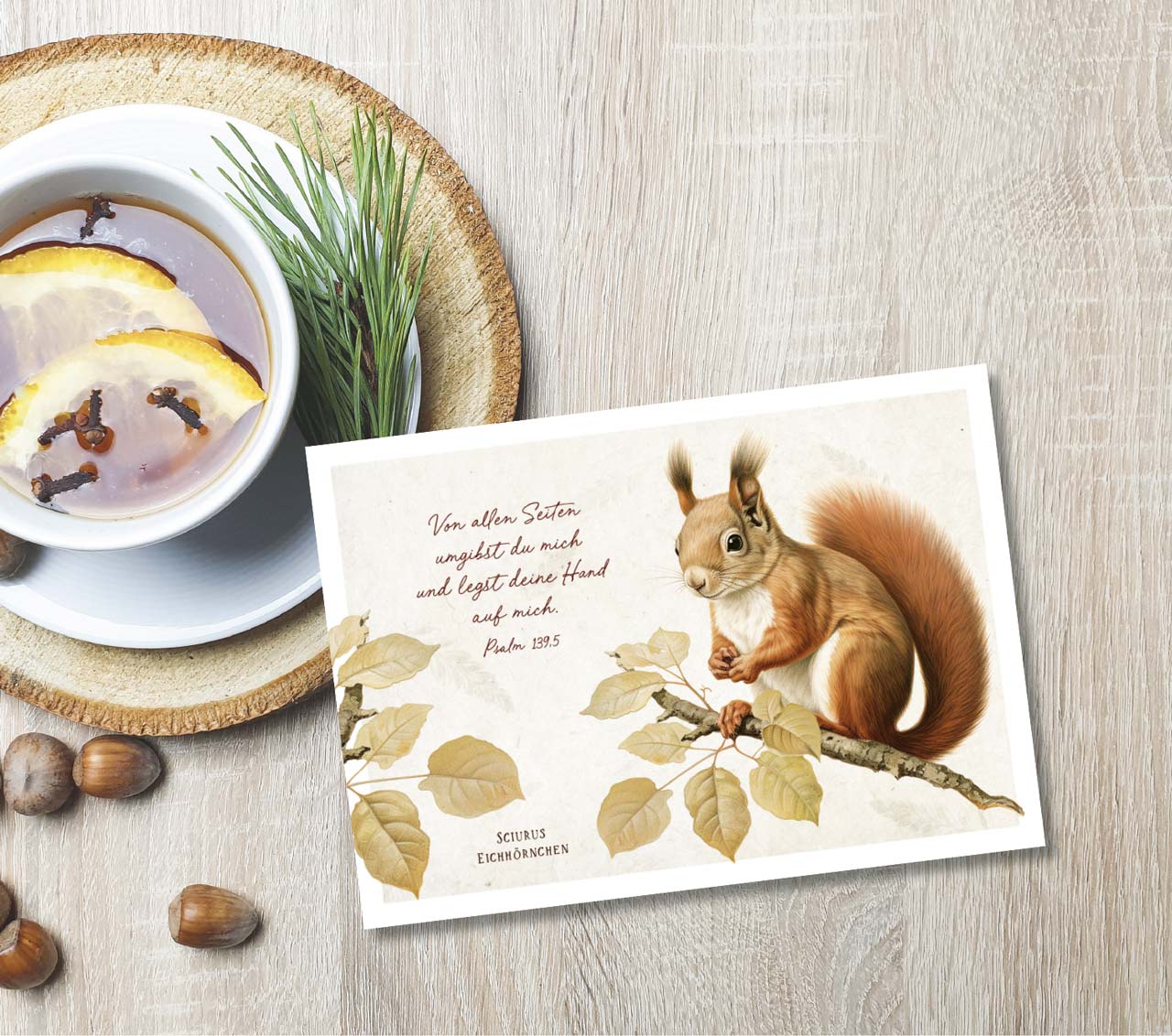 Postkarte niedliches Eichhörnchen -  (14,8 x 10,5 cm)