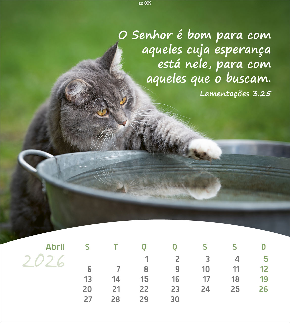 Leben für Dich 2026 - Portugiesisch