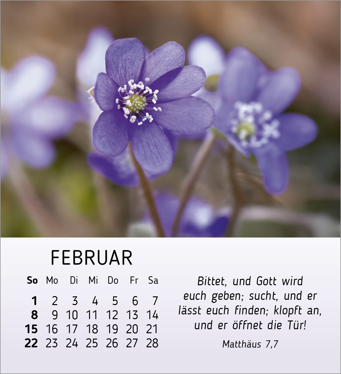 Stille Begegnungen Tischkalender 2026