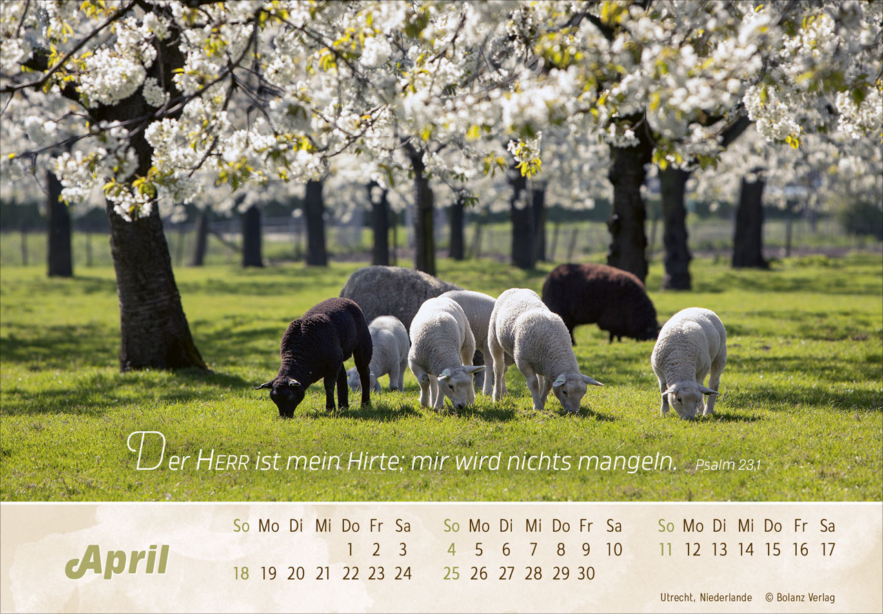 Der Gute Hirte 2027 – Panoramakalender