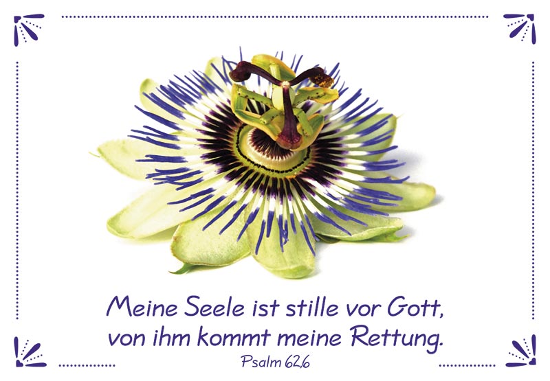 Neujahrslose Blumen -  (9,8 x 6,8 cm)