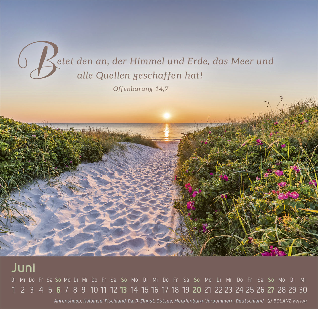 Weg – Licht – Leben 2027 – Tischkalender