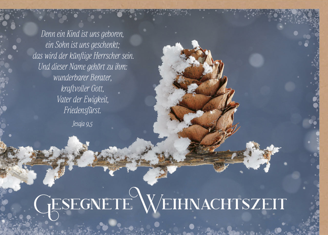Faltkarte Weihnachten Tannenzapfen -  Anlass: Weihnachten (17 x 12 cm)