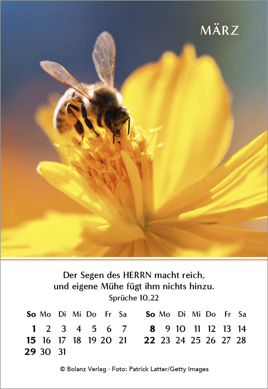 Ein Jahr der Freude Mini-Kalender 2026