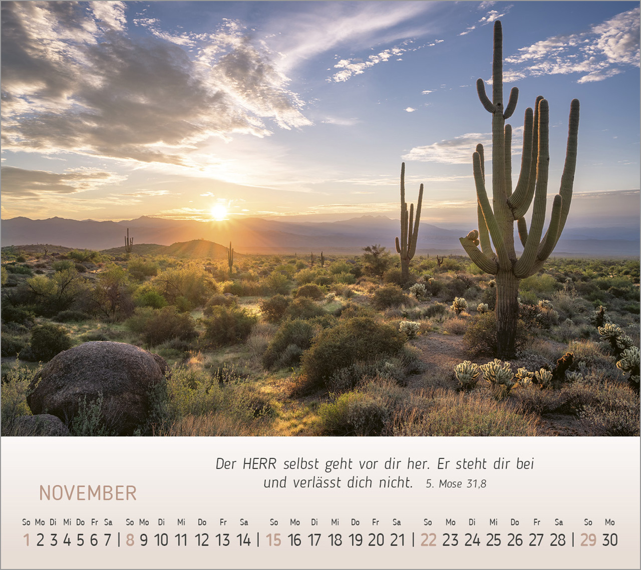Foto-Träume - Tischkalender 2026