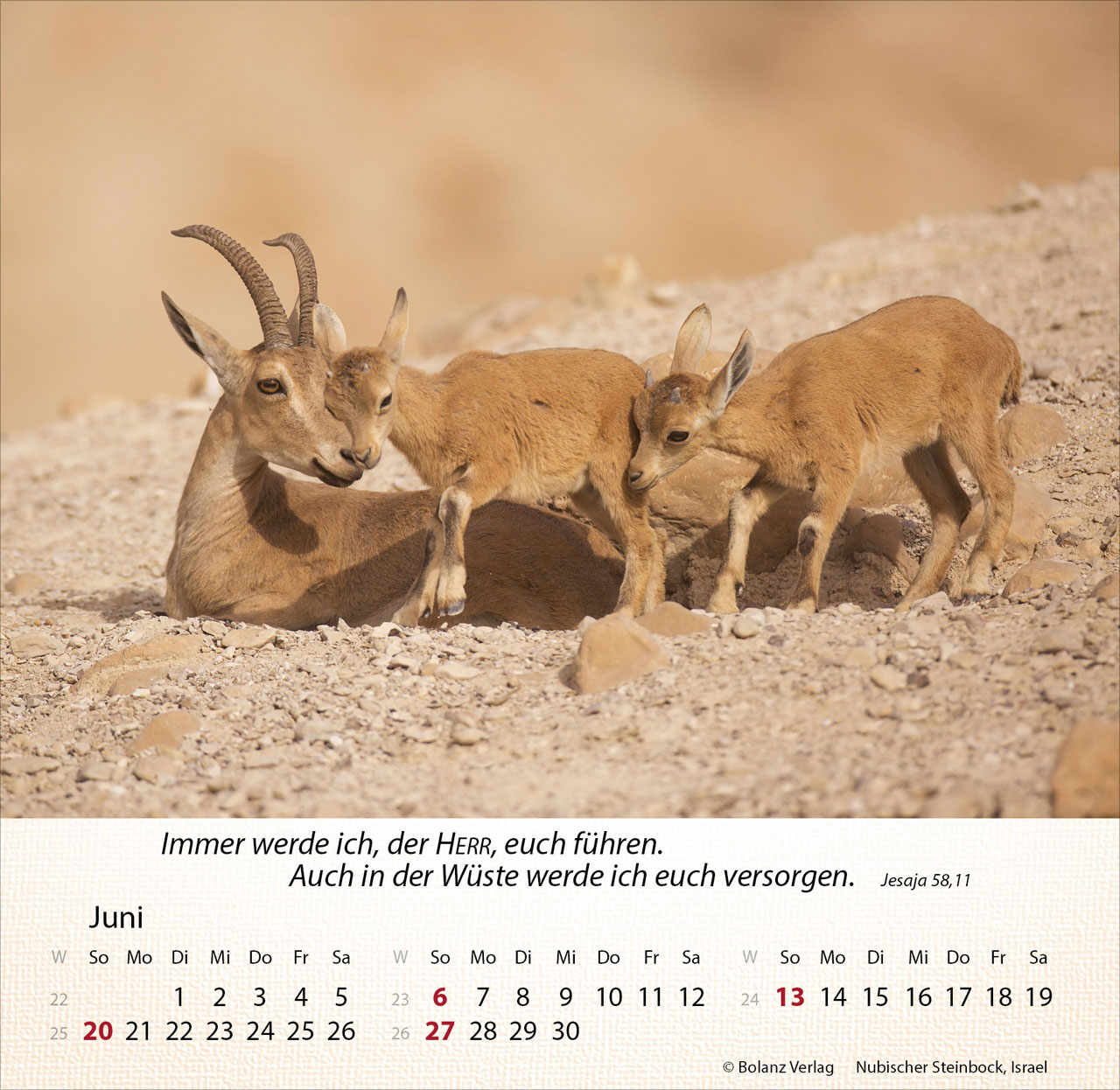 Israel Shalom 2027 – Tischkalender