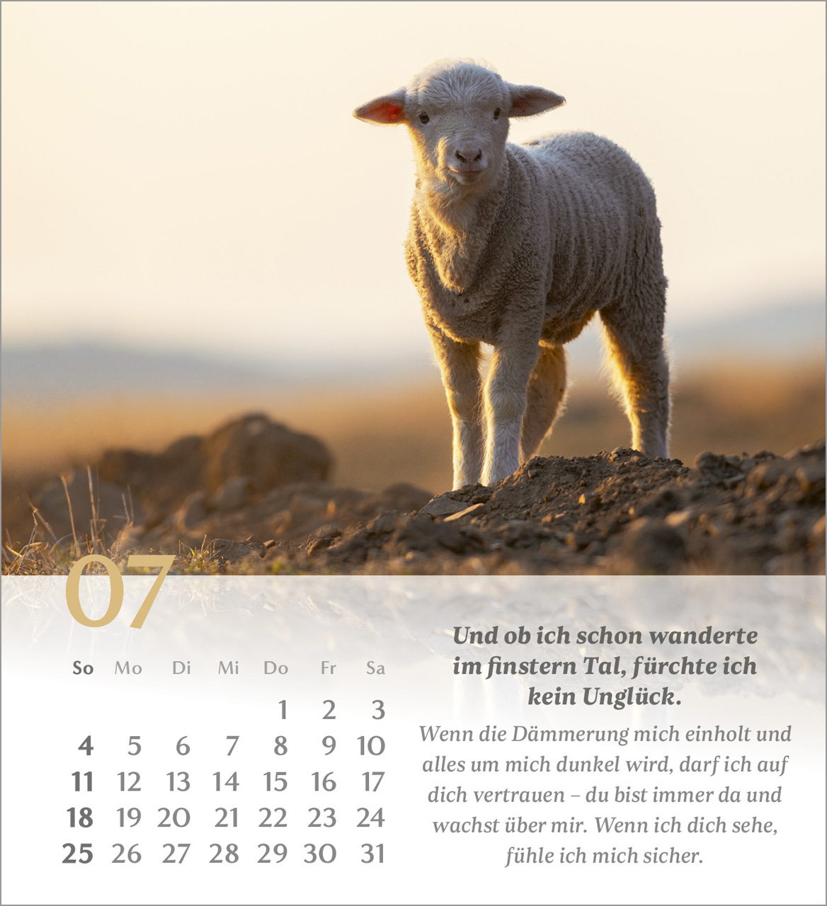 Psalm 23 – 2027 – Tischkalender