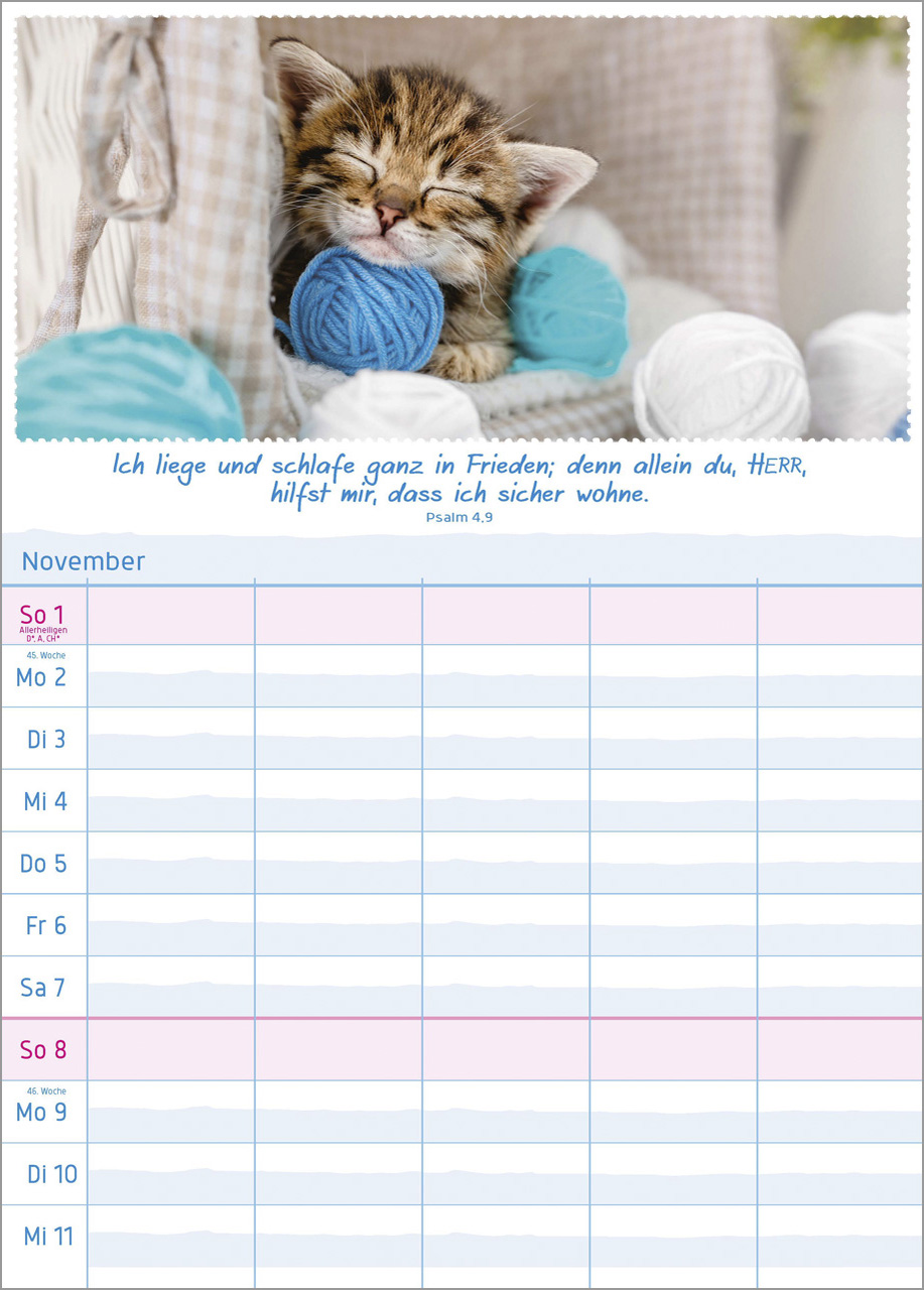 Multiplaner 2026 - Terminplaner