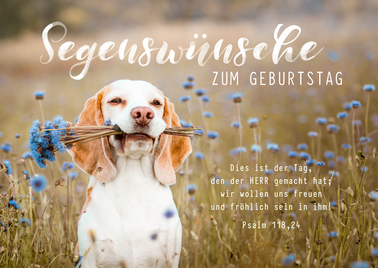 Postkarte süßer Hund zum Geburtstag -  Anlass: Geburtstag (14,8 x 10,5 cm)