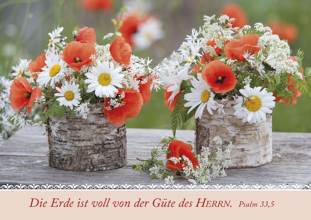 Postkartenbox Wir sind im Garten -  (15 x 11 cm)