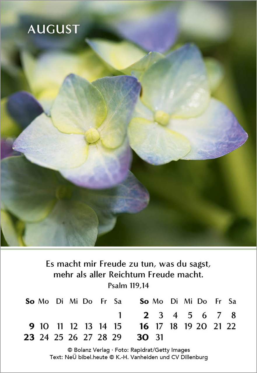 Ein Jahr der Freude Mini-Kalender 2026