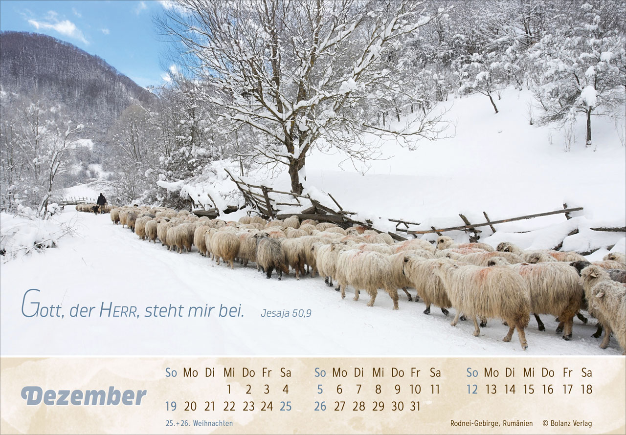 Der Gute Hirte 2027 – Panoramakalender