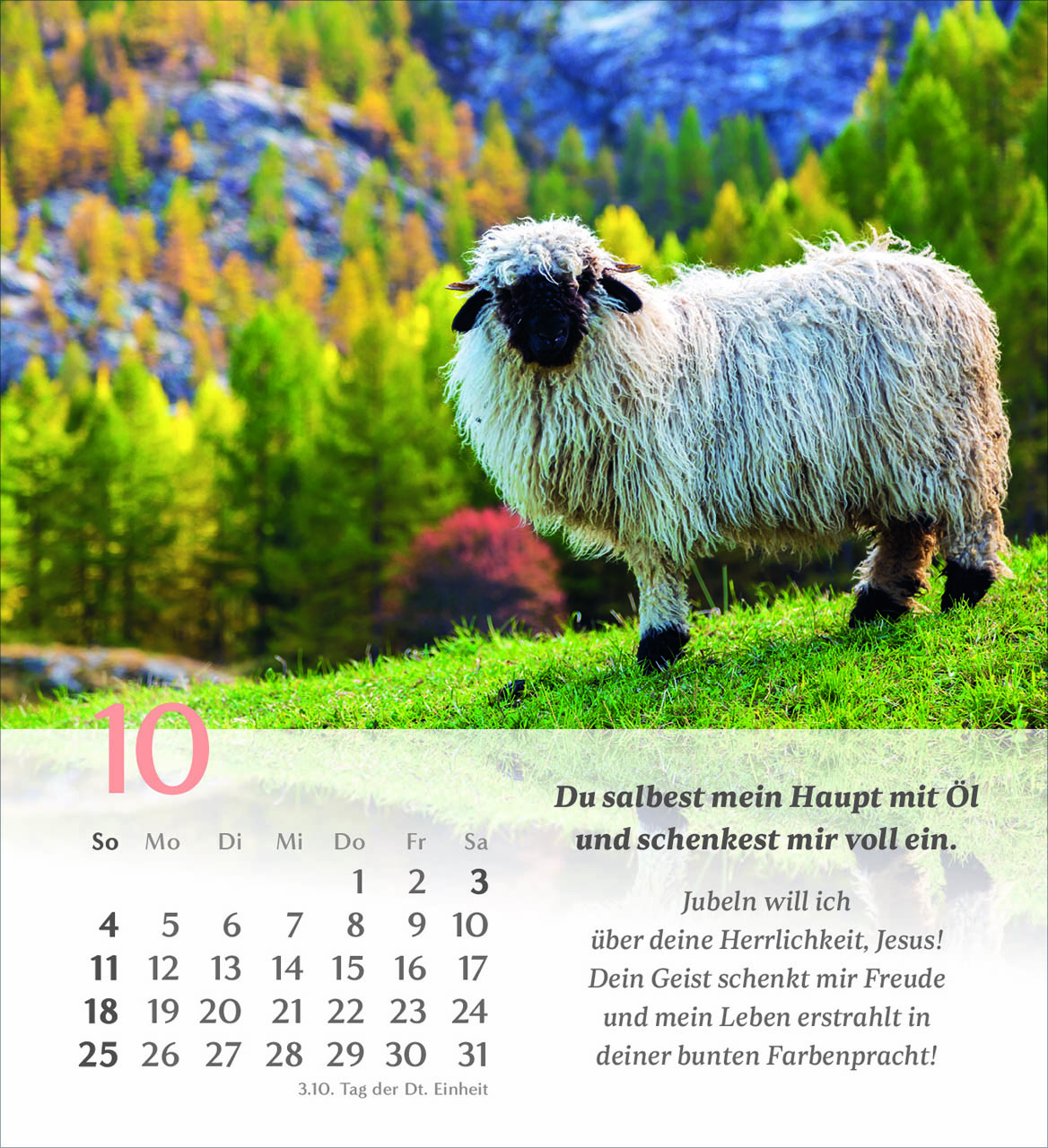 Psalm 23 Tischkalender 2026