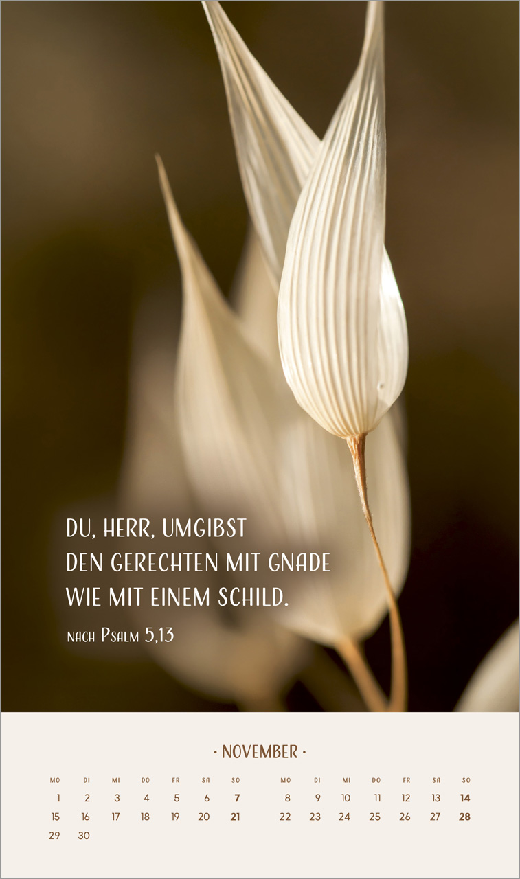 Zarte Blumengrüße 2027 – Posterkalender