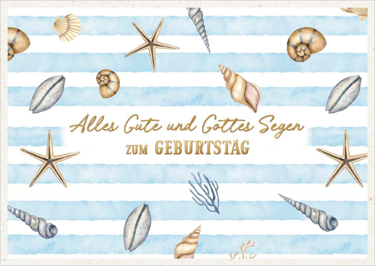 Postkarte Muscheln und Seesterne -  Anlass: Geburtstag (14,8 x 10,5 cm)
