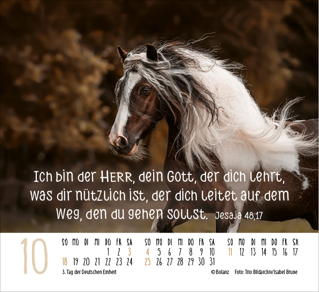 Pferde - elegante Schönheiten - Minikalender 2026