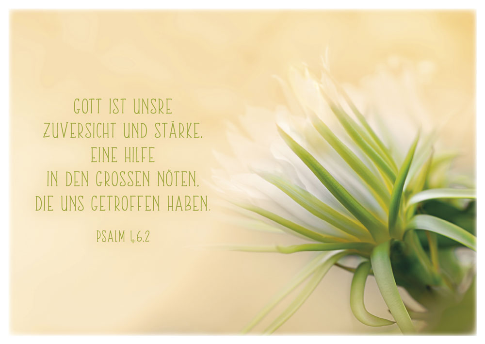 Postkartenbox Getröstet und getragen -  Anlass: Trost (15 x 11 cm)