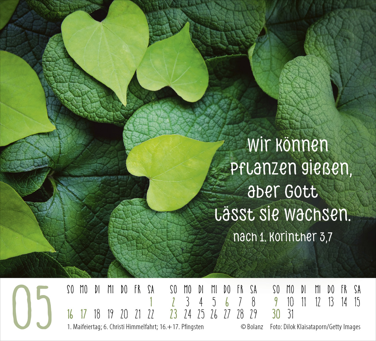Danke 2027 – Minikalender