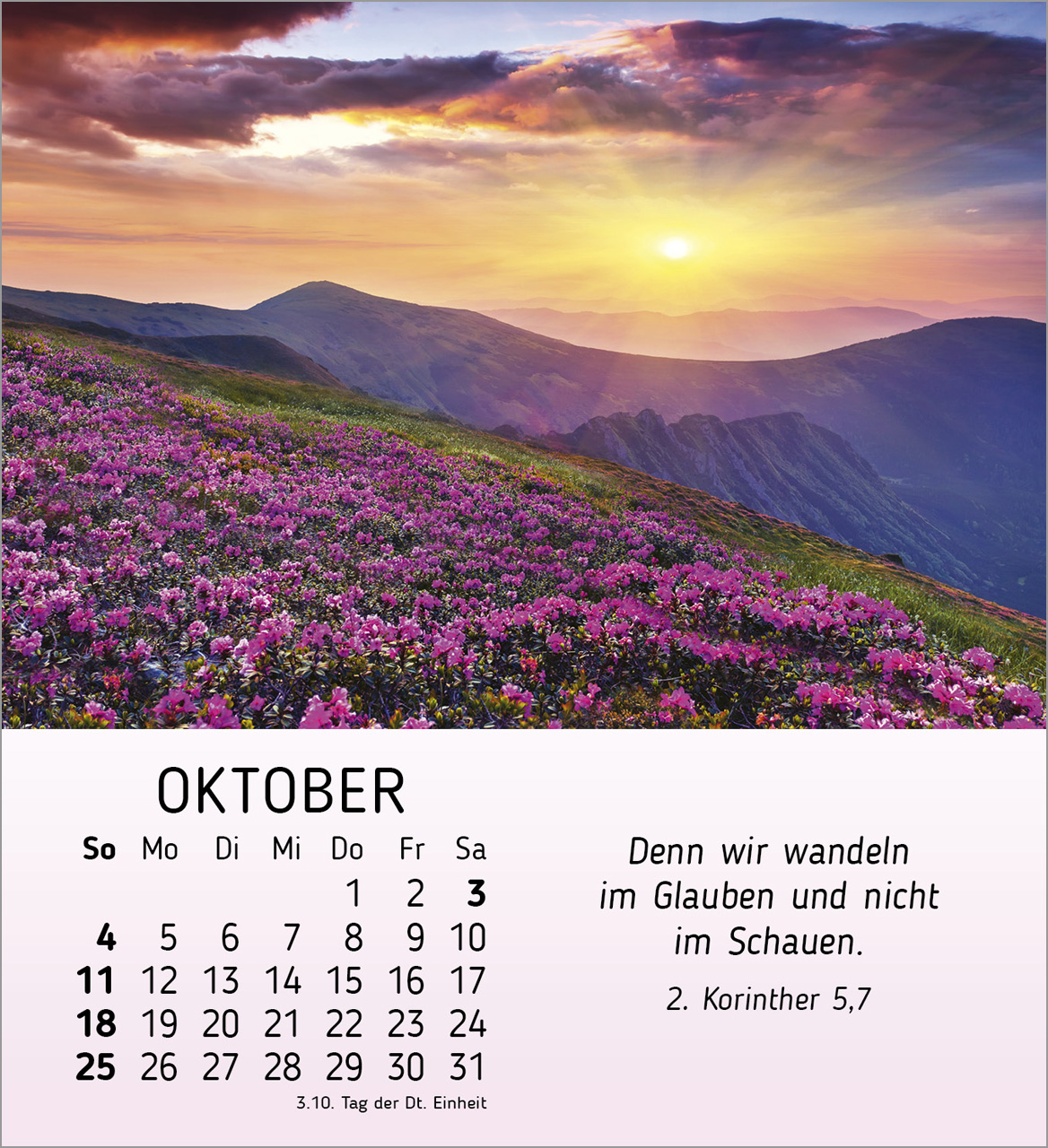 Schöheit des Lichts Tischkalender 2026