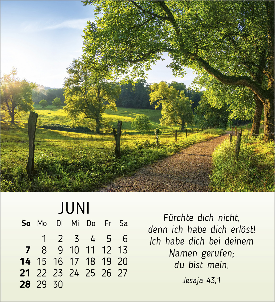 Schöheit des Lichts Tischkalender 2026